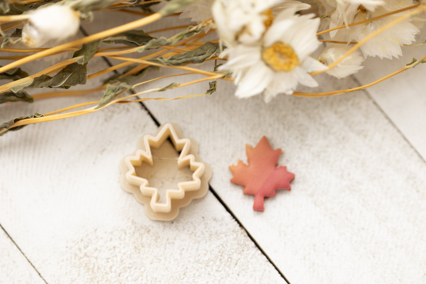 Fall Mini Stud Cutter Collection