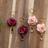 Roses & Radiance